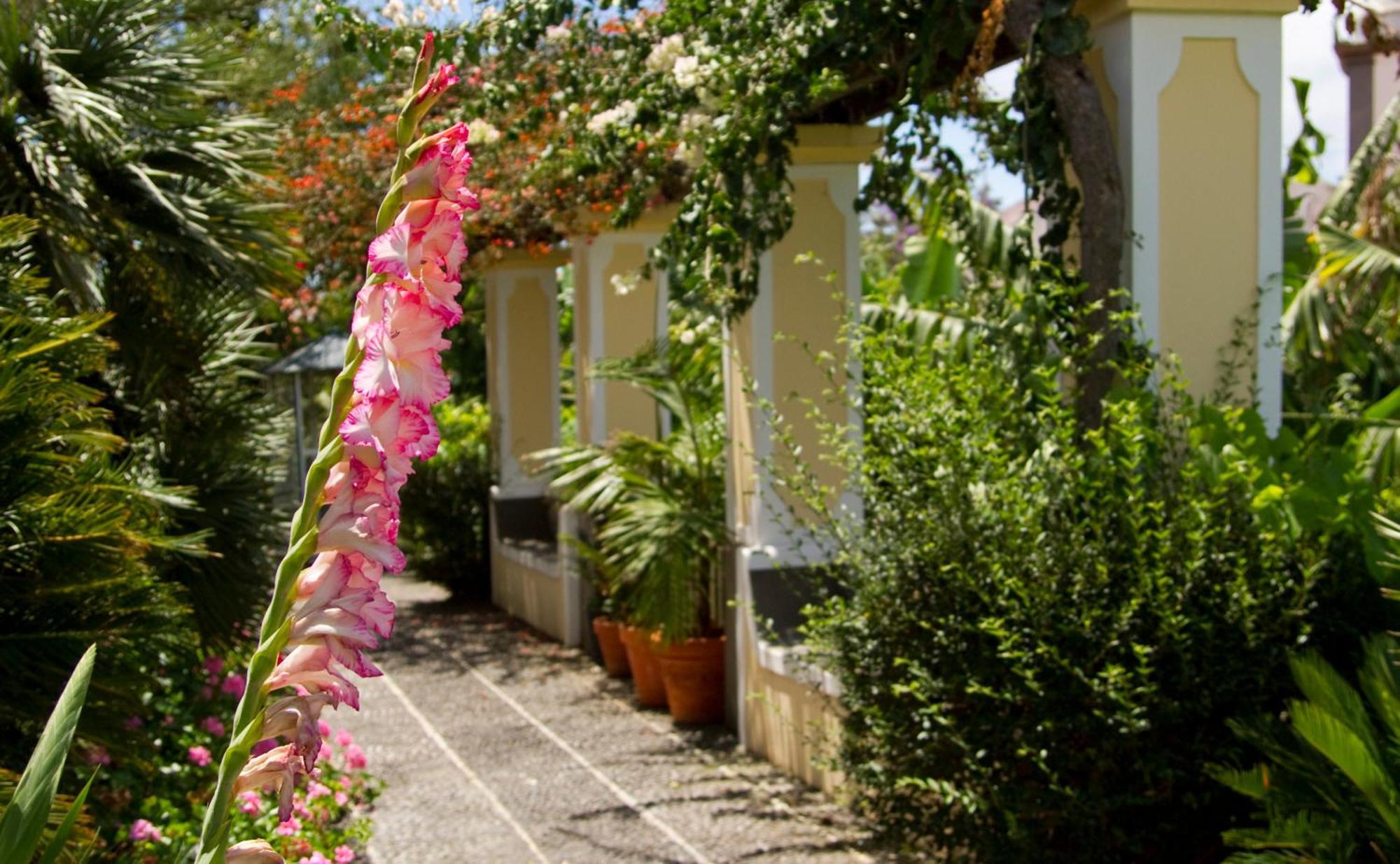 Hotel Quinta Bela S Tiago Funchal  Esterno foto